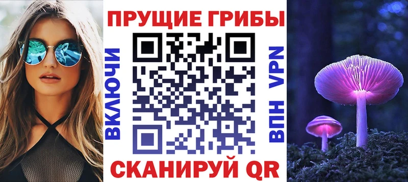 продажа наркотиков  Константиновск  МЕГА вход  Псилоцибиновые грибы мухоморы 